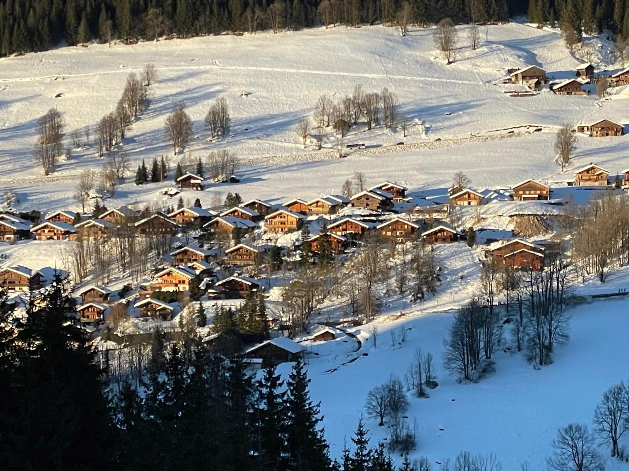Cosymontagne - Le Chalet - 3Ch - 8 Pers- Terrasse Sud, Magnifique Vue La Clusaz Bagian luar foto